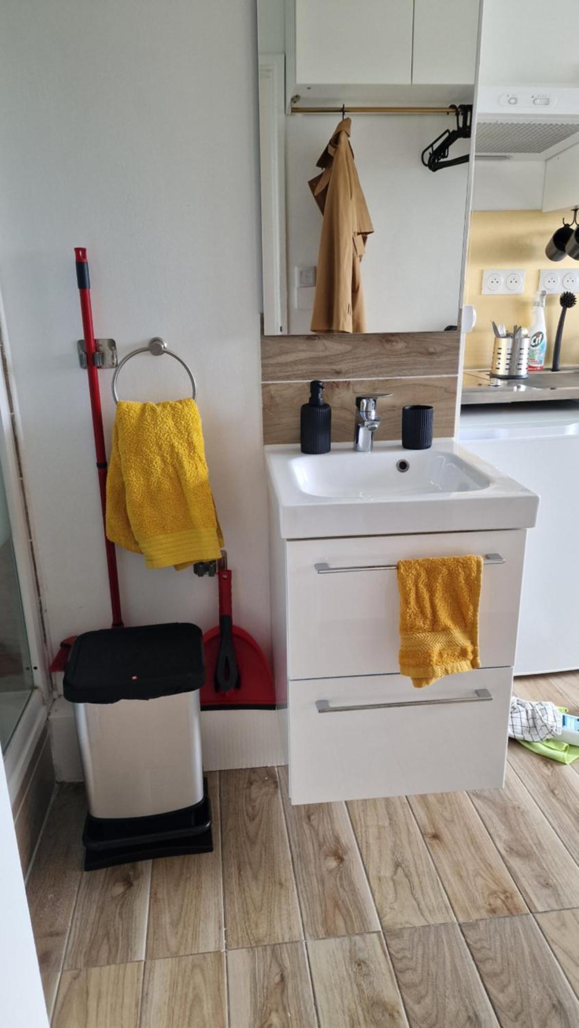 Avec Sa Salle De De Bain Privative Accommodatie bij particulieren Massy (Essonne)